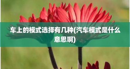 车上的模式选择有几种(汽车模式是什么意思啊)