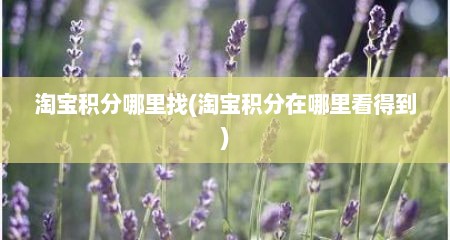 淘宝积分哪里找(淘宝积分在哪里看得到)