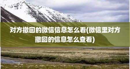对方撤回的微信信息怎么看(微信里对方撤回的信息怎么查看)