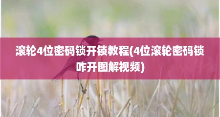 滚轮4位密码锁开锁教程(4位滚轮密码锁咋开图解视频)