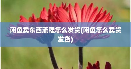 闲鱼卖东西流程怎么发货(闲鱼怎么卖货发货)