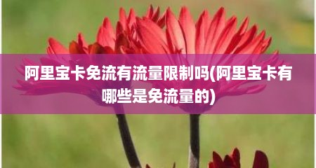 阿里宝卡免流有流量限制吗(阿里宝卡有哪些是免流量的)