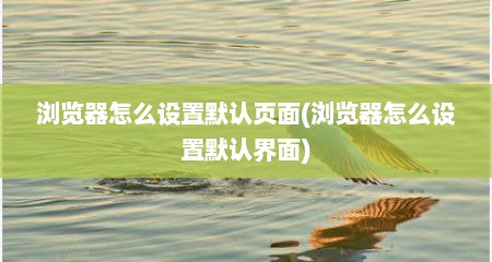 浏览器怎么设置默认页面(浏览器怎么设置默认界面)