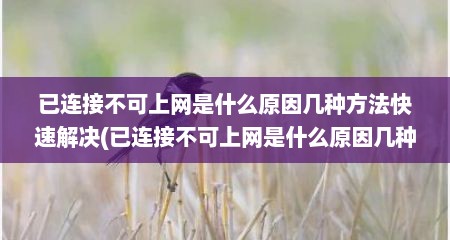 已连接不可上网是什么原因几种方法快速解决(已连接不可上网是什么原因几种方法快速解决视频)