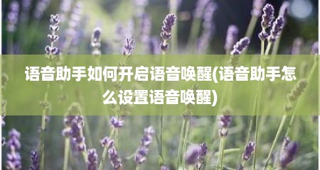 语音助手如何开启语音唤醒(语音助手怎么设置语音唤醒)