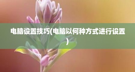 电脑设置技巧(电脑以何种方式进行设置)