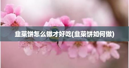 韭菜饼怎么做才好吃(韭菜饼如何做)