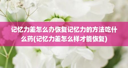 记忆力差怎么办恢复记忆力的方法吃什么药(记忆力差怎么样才能恢复)