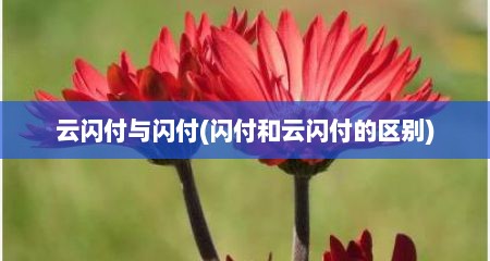 云闪付与闪付(闪付和云闪付的区别)