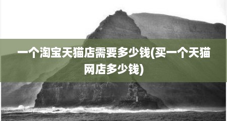 一个淘宝天猫店需要多少钱(买一个天猫网店多少钱)