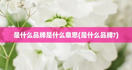 是什么品牌是什么意思(是什么品牌?)