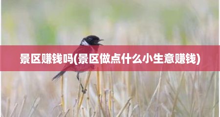 景区赚钱吗(景区做点什么小生意赚钱)
