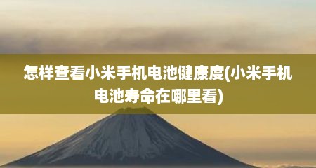 怎样查看小米手机电池健康度(小米手机电池寿命在哪里看)