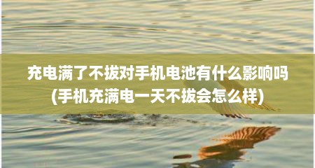充电满了不拔对手机电池有什么影响吗(手机充满电一天不拔会怎么样)