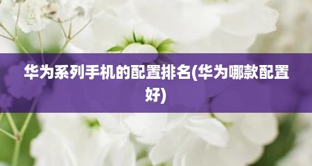 华为系列手机的配置排名(华为哪款配置好)