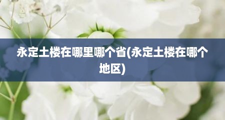 永定土楼在哪里哪个省(永定土楼在哪个地区)