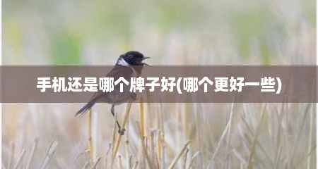 手机还是哪个牌子好(哪个更好一些)