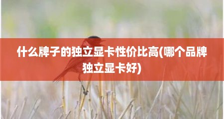 什么牌子的独立显卡性价比高(哪个品牌独立显卡好)