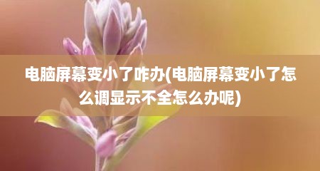 电脑屏幕变小了咋办(电脑屏幕变小了怎么调显示不全怎么办呢)