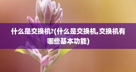 什么是交换机?(什么是交换机,交换机有哪些基本功能)