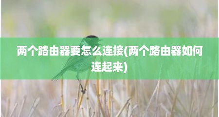 两个路由器要怎么连接(两个路由器如何连起来)