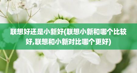 联想好还是小新好(联想小新和哪个比较好,联想和小新对比哪个更好)