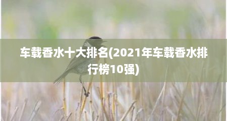 车载香水十大排名(2021年车载香水排行榜10强)