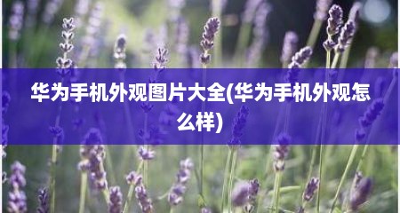 华为手机外观图片大全(华为手机外观怎么样)