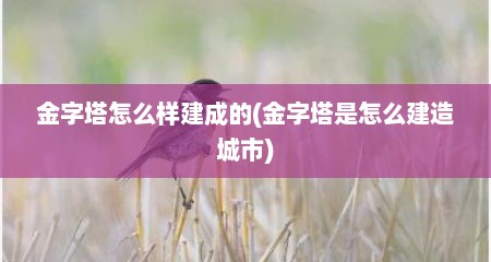 金字塔怎么样建成的(金字塔是怎么建造城市)