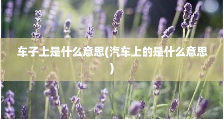 车子上是什么意思(汽车上的是什么意思)