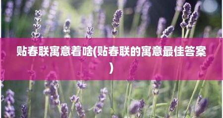贴春联寓意着啥(贴春联的寓意最佳答案)