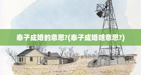 奉子成婚的意思?(奉子成婚啥意思?)