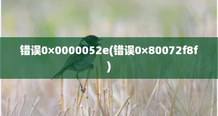 错误0×0000052e(错误0×80072f8f)