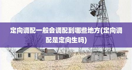 定向调配一般会调配到哪些地方(定向调配是定向生吗)