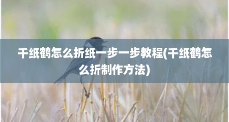 千纸鹤怎么折纸一步一步教程(千纸鹤怎么折制作方法)