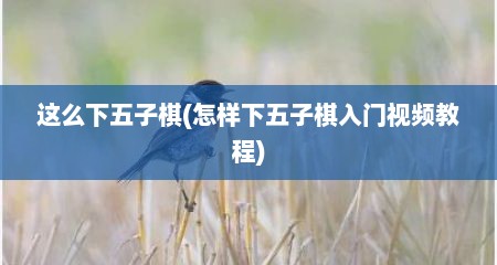 这么下五子棋(怎样下五子棋入门视频教程)