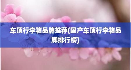 车顶行李箱品牌推荐(国产车顶行李箱品牌排行榜)