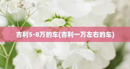 吉利5-8万的车(吉利一万左右的车)