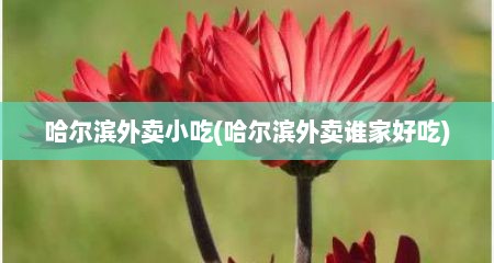 哈尔滨外卖小吃(哈尔滨外卖谁家好吃)