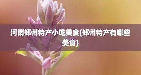 河南郑州特产小吃美食(郑州特产有哪些美食)