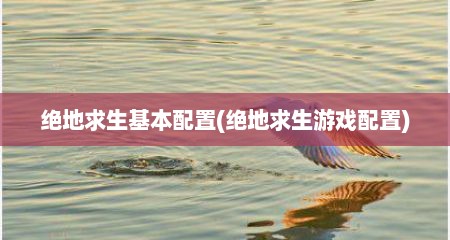 绝地求生基本配置(绝地求生游戏配置)