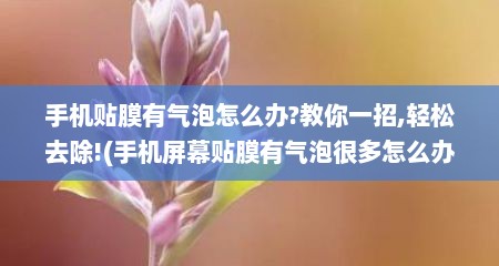 手机贴膜有气泡怎么办?教你一招,轻松去除!(手机屏幕贴膜有气泡很多怎么办)