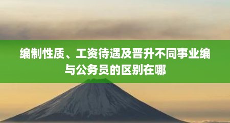 编制性质、工资待遇及晋升不同事业编与公务员的区别在哪
