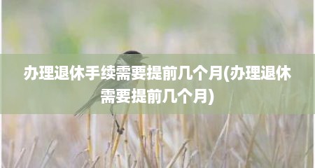 办理退休手续需要提前几个月(办理退休需要提前几个月)