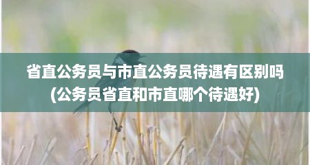 省直公务员与市直公务员待遇有区别吗(公务员省直和市直哪个待遇好)