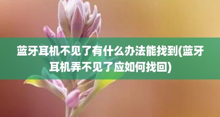 蓝牙耳机不见了有什么办法能找到(蓝牙耳机弄不见了应如何找回)