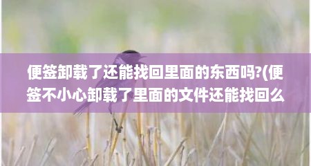 便签卸载了还能找回里面的东西吗?(便签不小心卸载了里面的文件还能找回么)