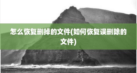 怎么恢复删掉的文件(如何恢复误删除的文件)