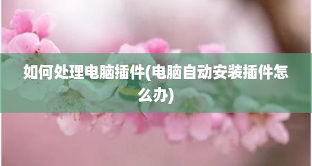 如何处理电脑插件(电脑自动安装插件怎么办)