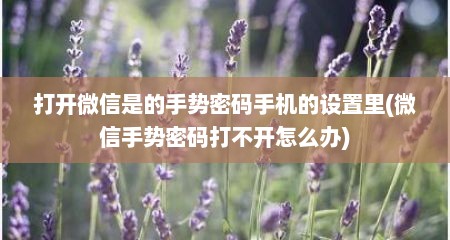 打开微信是的手势密码手机的设置里(微信手势密码打不开怎么办)